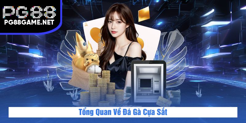 Đá Gà Cựa Sắt – Trực Tiếp, Kịch Tính Mỗi Ngày Tại PG88